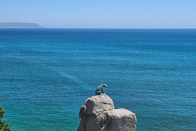 Peninsula Full Day Private Tour - Chapman’s Peak Drive: Coastline Views From the Car and at Photo Stops
