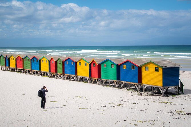 Peninsula Photography Tour - Private-vehicle ease across Signal Hill, Boulders, and Cape Point