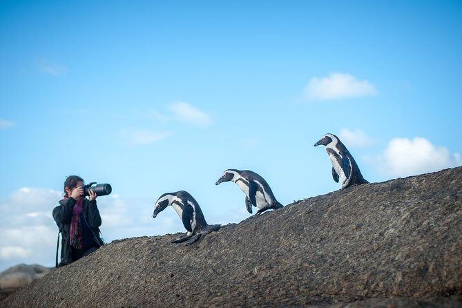 Peninsula Photography Tour - Photo coaching that matches your gear and skill level