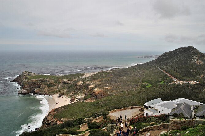 Peninsula Tour - Boulders Beach Penguin Colony: A Full Hour with African Penguins