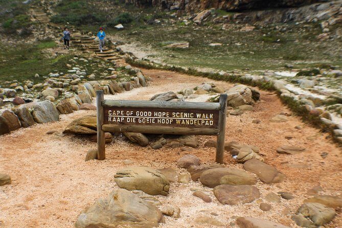 Peninsula Tour Cape Town - Chapman’s Peak: viewpoint time plus a dramatic drive