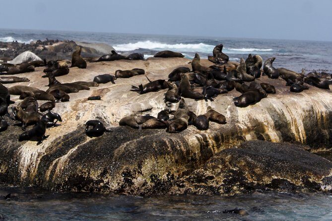 Peninsula Tour Cape Town - Noordhoek farm village: a calmer break and coffee on your terms