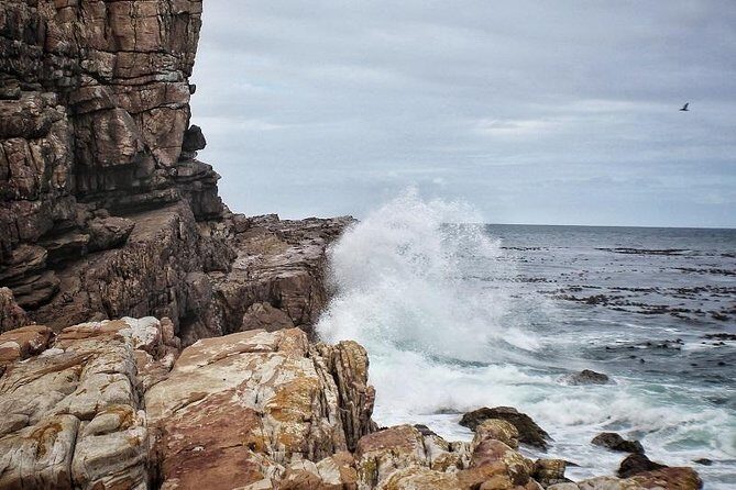 Peninsula Tour Cape Town - Cape of Good Hope: where the coastline feels exposed and wild