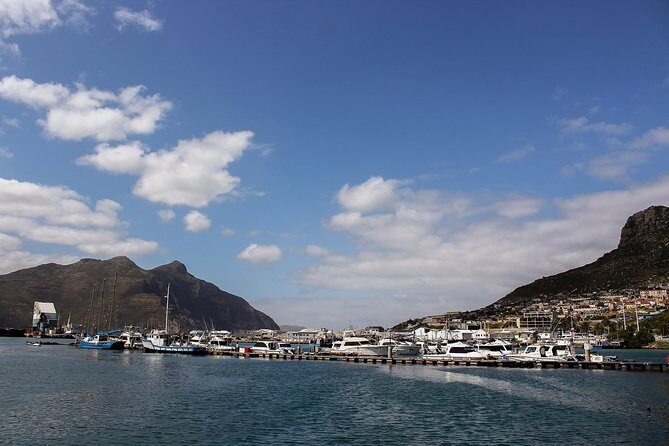 Peninsula Tour Cape Town - Hotel pickup, timing, and how the day runs (about 9 hours)