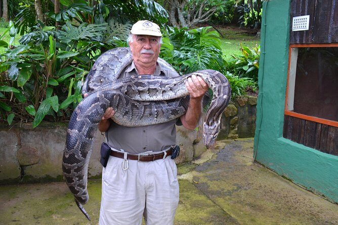 Phezulu Cultural Village & Reptile Park Day Tour from Durban - Practical tips so your morning feels smooth