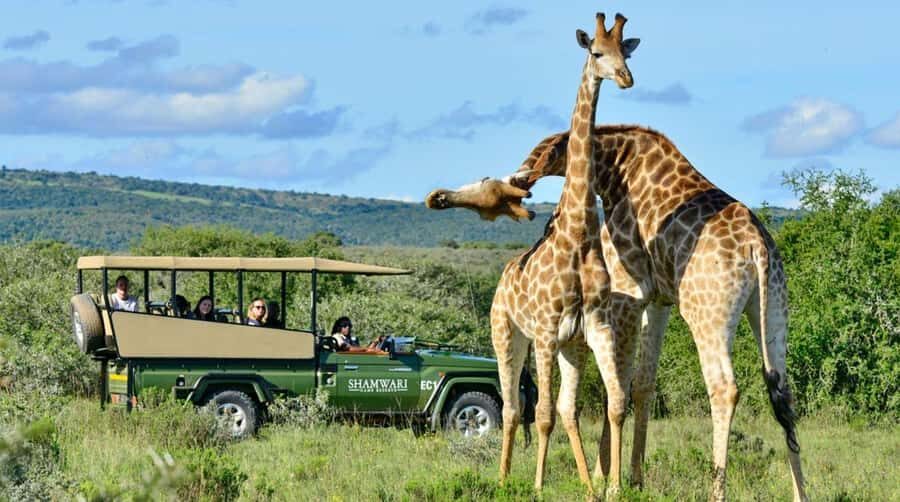 Phezulu Safari Park & Mandela Capture Site Half Day Tour - From Durban at 7am: a straightforward schedule that saves your day