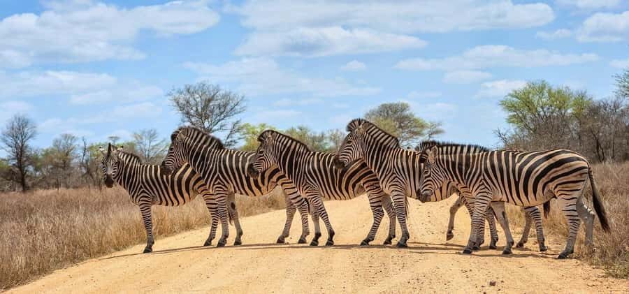 Phezulu Safari Park & Mandela Capture Site Half Day Tour - Nelson Mandela Capture Site: the sculpture experience is designed like a story