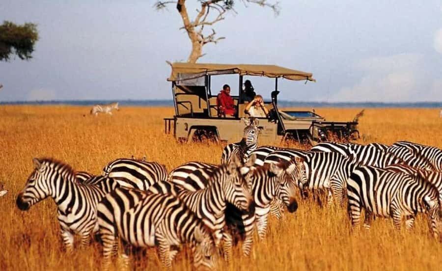 Phezulu Safari Park & Mandela Capture Site Half Day Tour - Howick Falls: “Home of the Tall” and the quickest path to wow