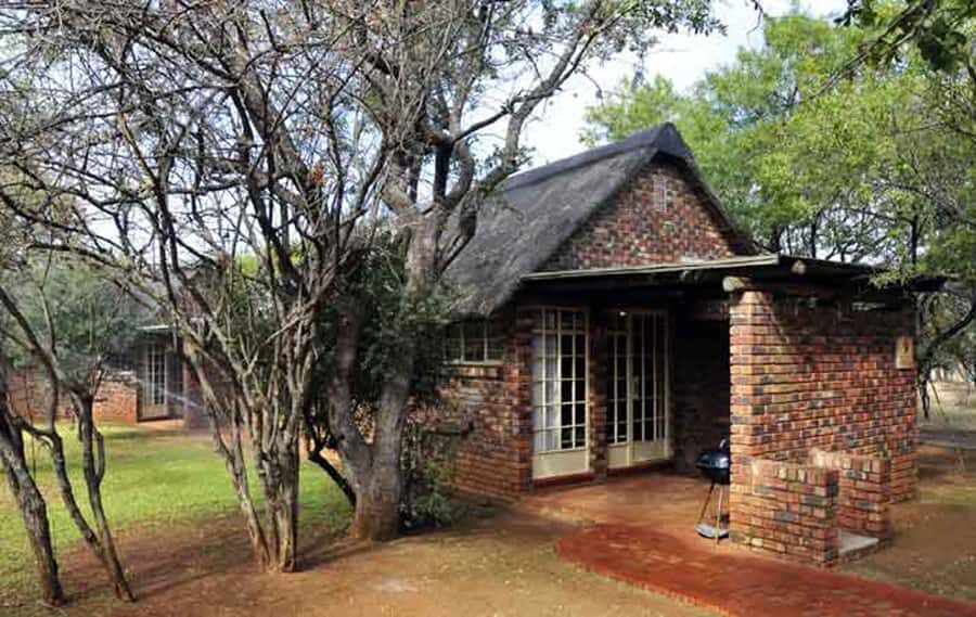 Pilanesberg: 2 Day 3-Star Pilanesberg Safari - Day 1: Johannesburg Pickup to Your First Closed-Vehicle Drive