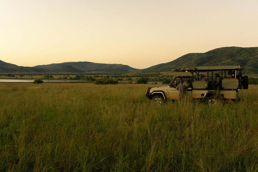 Pilanesberg: Full-Day Safari Adventure from Johannesburg - First Game Drive: Big Five Chances in an Ancient Volcanic Crater