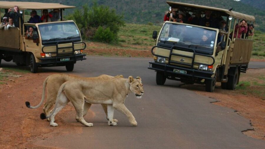 Pilanesberg Full-Day Shared Safari with Sun City Visit - Key highlights at a glance