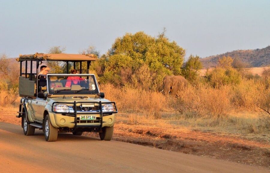 Pilanesberg Full-Day Shared Safari with Sun City Visit - The 6:00 AM Johannesburg start and the scenic road to Pilanesberg