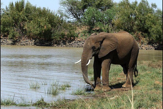 Pilanesberg Game Reserve 6 Hour Sunrise Safari from Johannesburg or Pretoria - Group setup and timing: what the duration really feels like