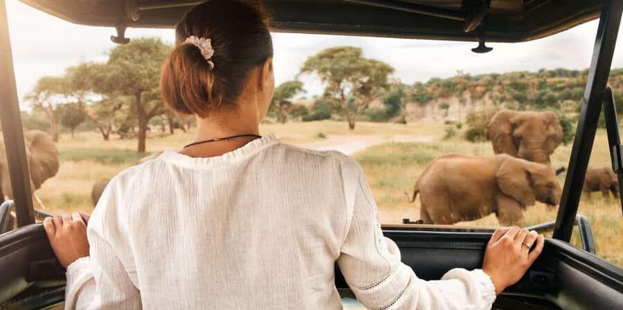 Pilanesberg Morning or Afternoon 3 Hour Game Drive - Pickup and the quick run to the park: know your gate