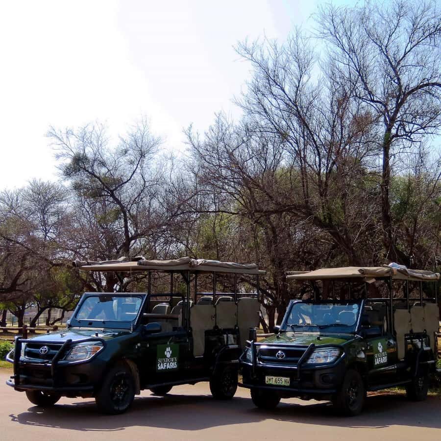 Pilanesberg Morning or Afternoon 3 Hour Game Drive - Optional wine tasting: how to think about adding it