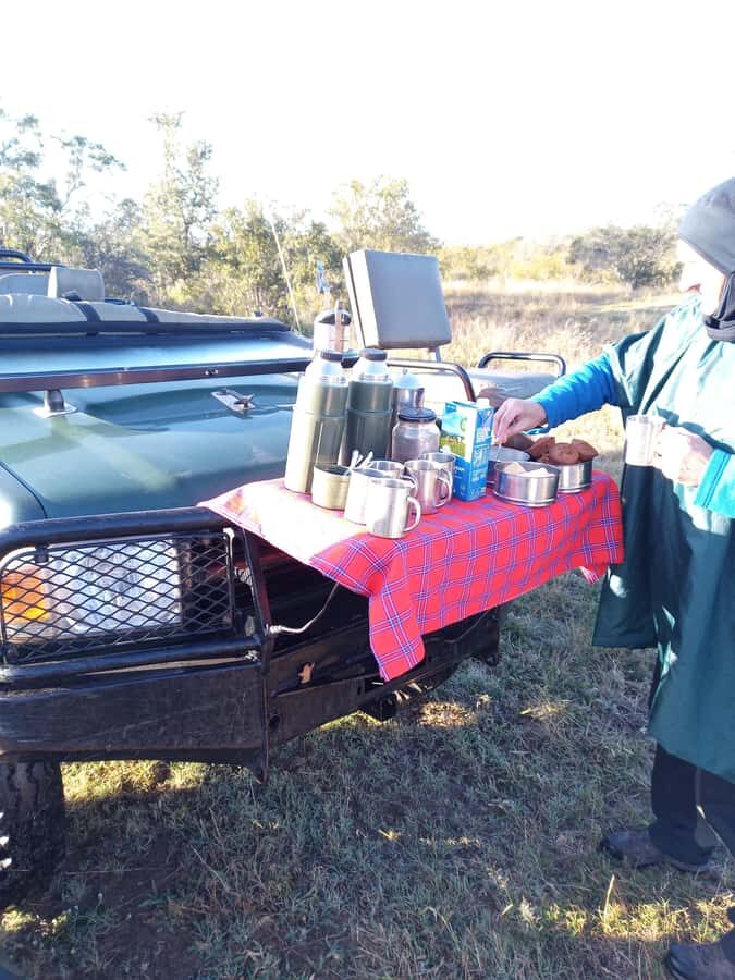 Pilanesberg National Park - Lunch Inside Pilanesberg: Included, But Plan for the Time