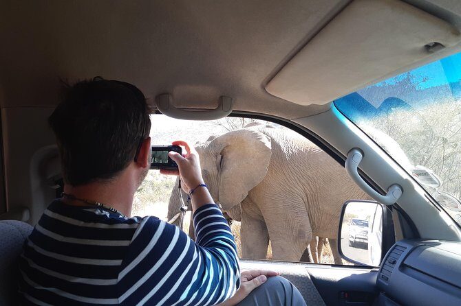 Pilanesberg National Park Day Tour from Pretoria, every SATURDAY - Lunch at the park: when a meal turns into wildlife time