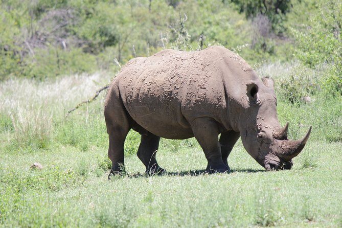 Pilanesberg National Park Day Tour from Pretoria, every SATURDAY - Logistics that affect your comfort (more than you think)