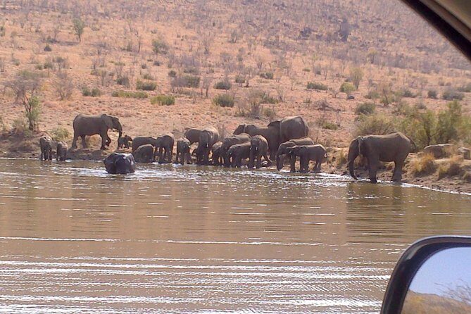 Pilanesberg National Park Day Tour from Pretoria, every SATURDAY - Saturday departures and the early pickup routine