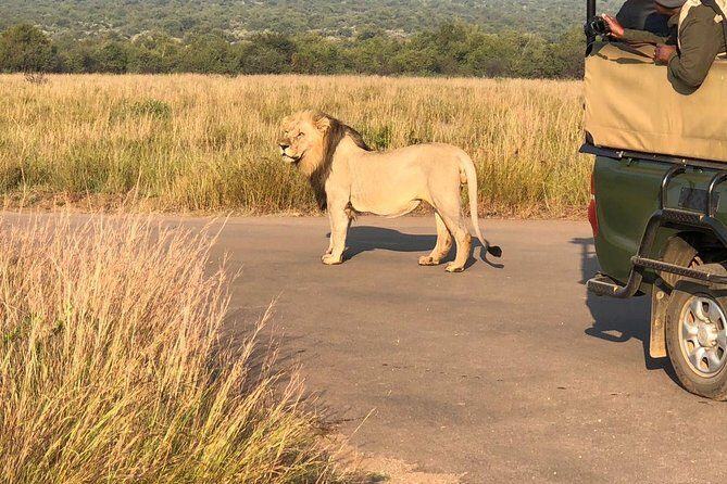 Pilanesberg National Park Full Day Safari From Johannesburg - A 6:00 AM start: the day’s rhythm in plain language