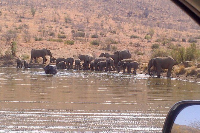 Pilanesberg National Park Full-Day Tour from Johannesburg - The game drive setup: air-conditioned vehicle, guided spotting, real time in the park