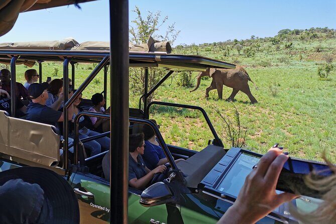 Pilanesberg National Park Safari from Johannesburg - Entering Pilanesberg: why this park is a great “from the city” safari