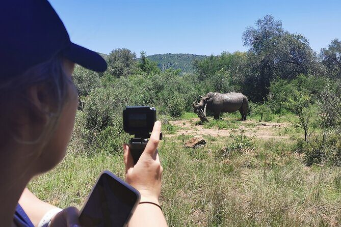 Pilanesberg National Park Safari from Johannesburg - Safari time in the park: your Big Five odds and how to enjoy the drive