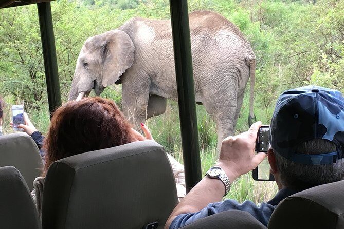 Pilanesberg National Park Safari from Johannesburg - Lunch breaks and viewing strategy (without losing your morning)