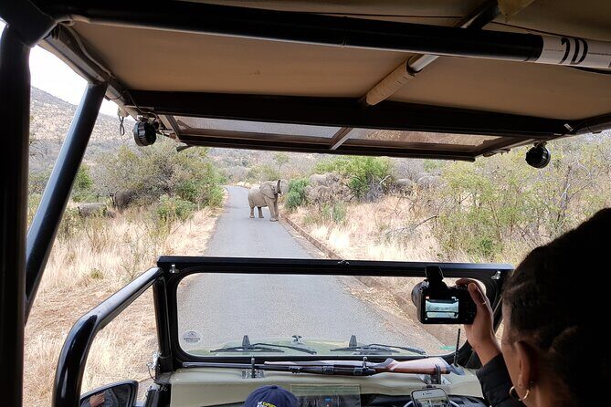 Pilanesberg National Park Safari from Johannesburg - Vehicle choice and the 4x4 question you might have