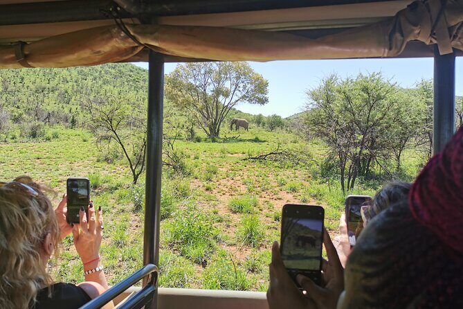 Pilanesberg National Park Safari from Johannesburg - Who should book this Pilanesberg safari from Johannesburg