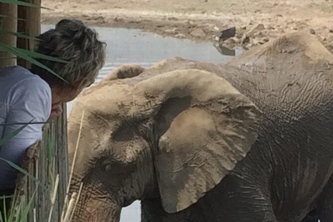 Pilanesberg National Park Safari in Open Vehicle from Johannesburg - Open-Vehicle Safari: What You’ll Actually Experience Out There