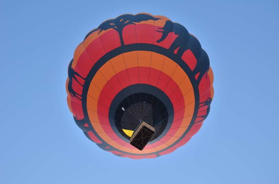 Pilanesberg National Park/Sun City Hot Air Balloon Safari - Quick, Practical Highlights
