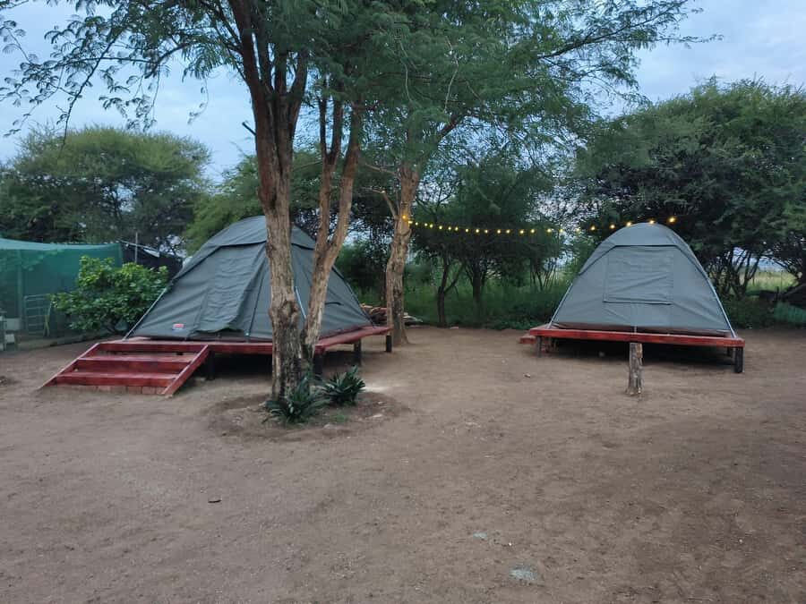 Pilanesberg: Two-Day Camping Adventure from Johannesburg - Value and pricing: what $329 really buys you
