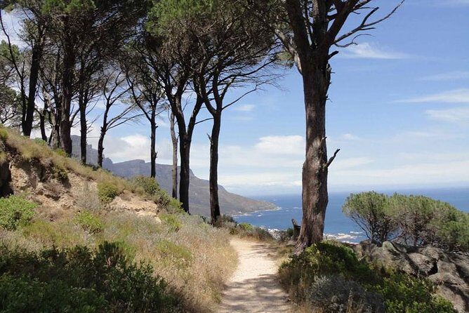 Pipetrack Hike for the whole family on Table Mountain - PRIVATE - Quick highlights on the Pipe Track