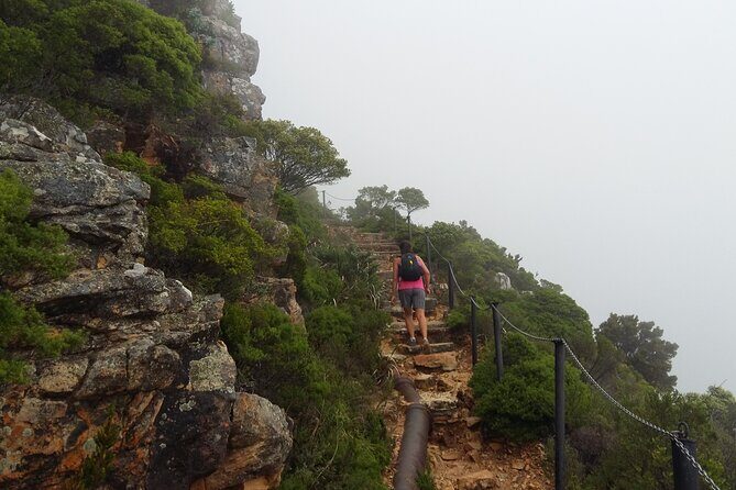 Pipetrack Hike for the whole family on Table Mountain - PRIVATE - Views you get: Lion’s Head, Camps Bay, and the Atlantic