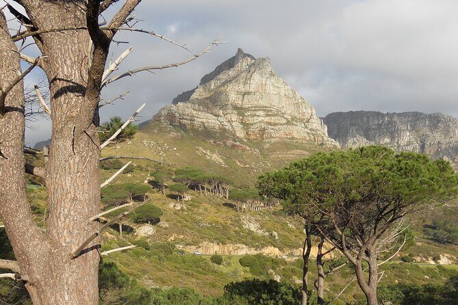Pipetrack Hike for the whole family on Table Mountain - PRIVATE - Weather reality on Table Mountain