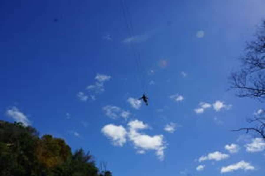 Plettenberg: 2-Hour Zipline Tour - Price and value: is $44 worth it?