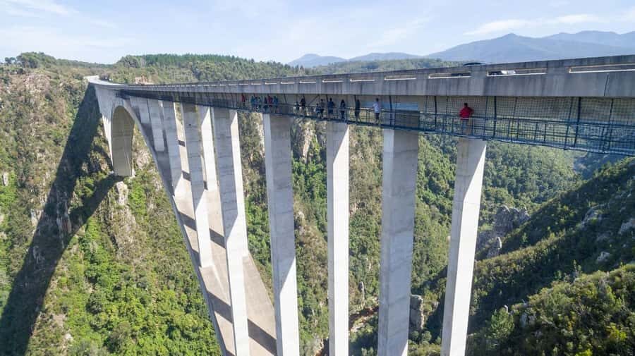 PLETTENBERG BAY: Bloukrans Bridge Skywalk Tour and HangOut - Key Takeaways Before You Go