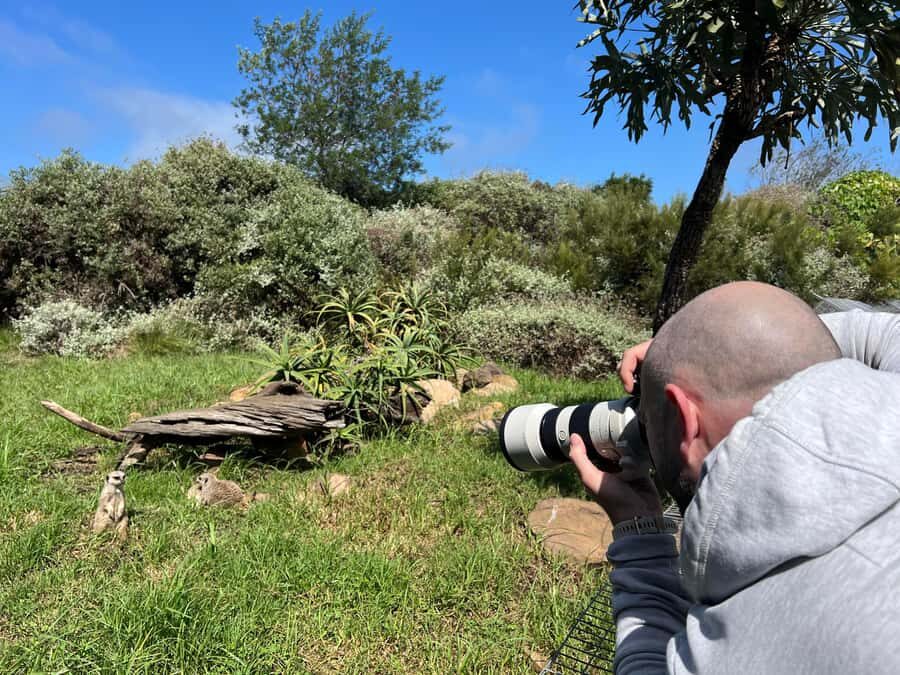 Plettenberg Bay: Cats in Conservation Full Day Tour - Morning arrival and the first round of animal checks