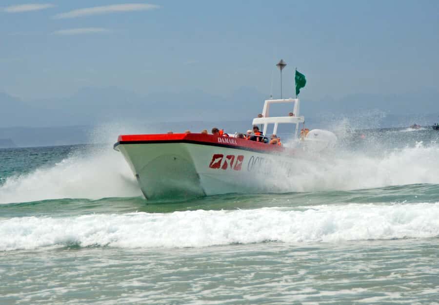 Plettenberg Bay: Dolphin and Marine Boat Tour - Where you’ll spot dolphins: Keurbooms Beach and Arch Rock