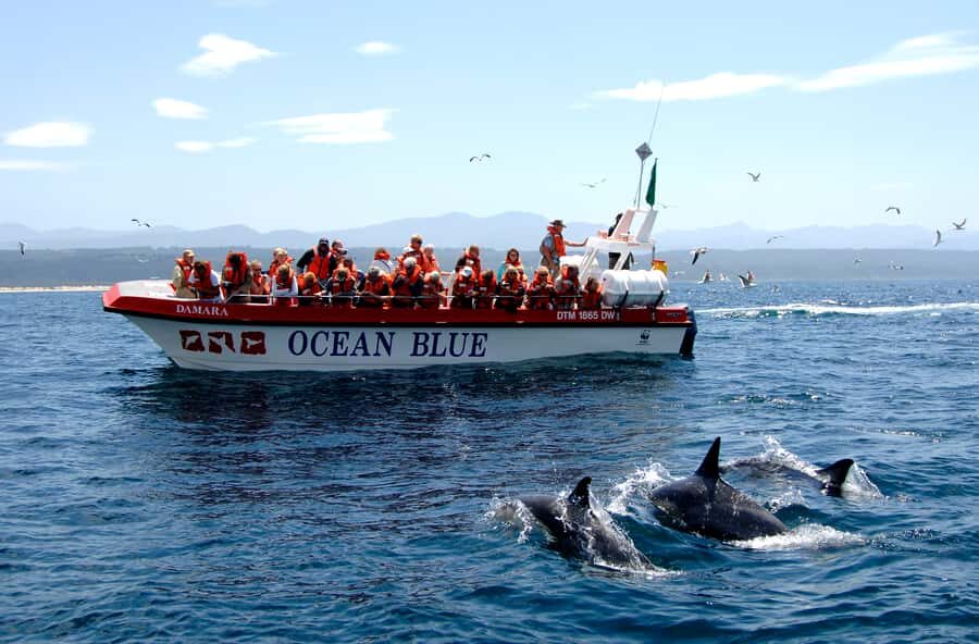 Plettenberg Bay: Dolphin and Marine Boat Tour - The route is the point: from Keurbooms Beach to Robberg’s inside waters