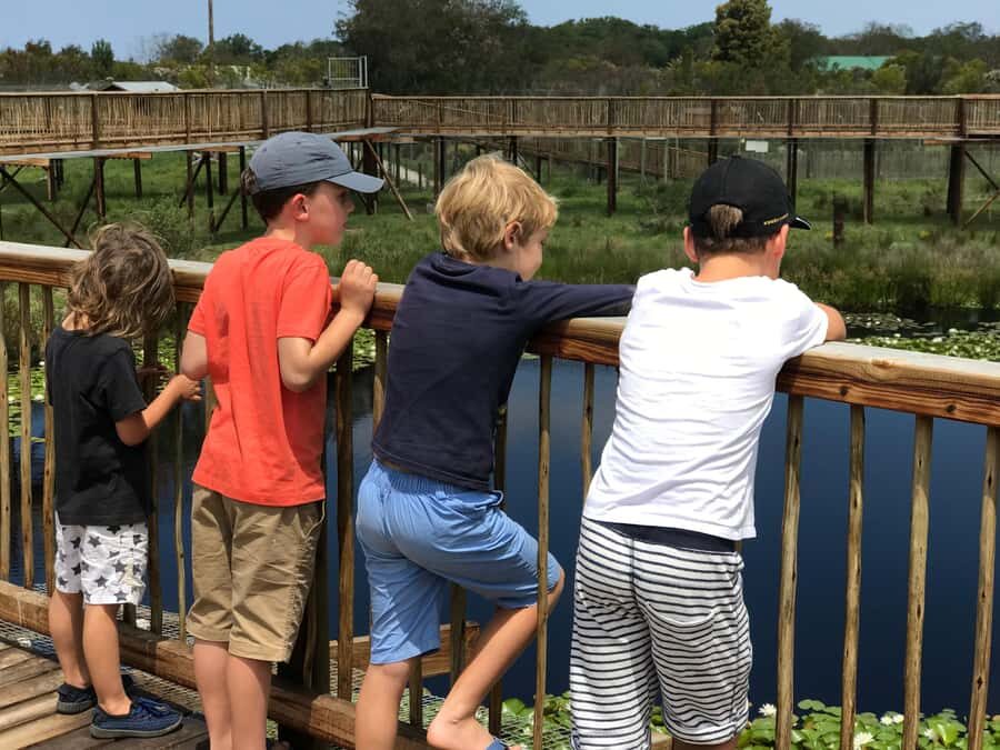 Plettenberg Bay: EcoKidz Family Wildlife Tour - Key highlights to know before you go