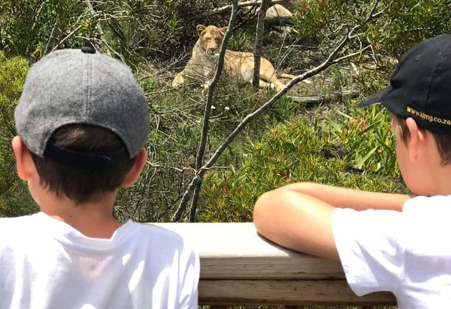 Plettenberg Bay: EcoKidz Family Wildlife Tour - Tenikwa Wildlife Rehabilitation Centre: the setting and the deal