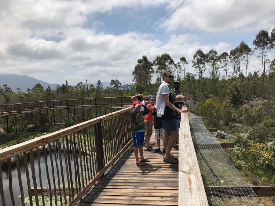 Plettenberg Bay: EcoKidz Family Wildlife Tour - Where the tour starts at Tenikwa (and how the day stays simple)