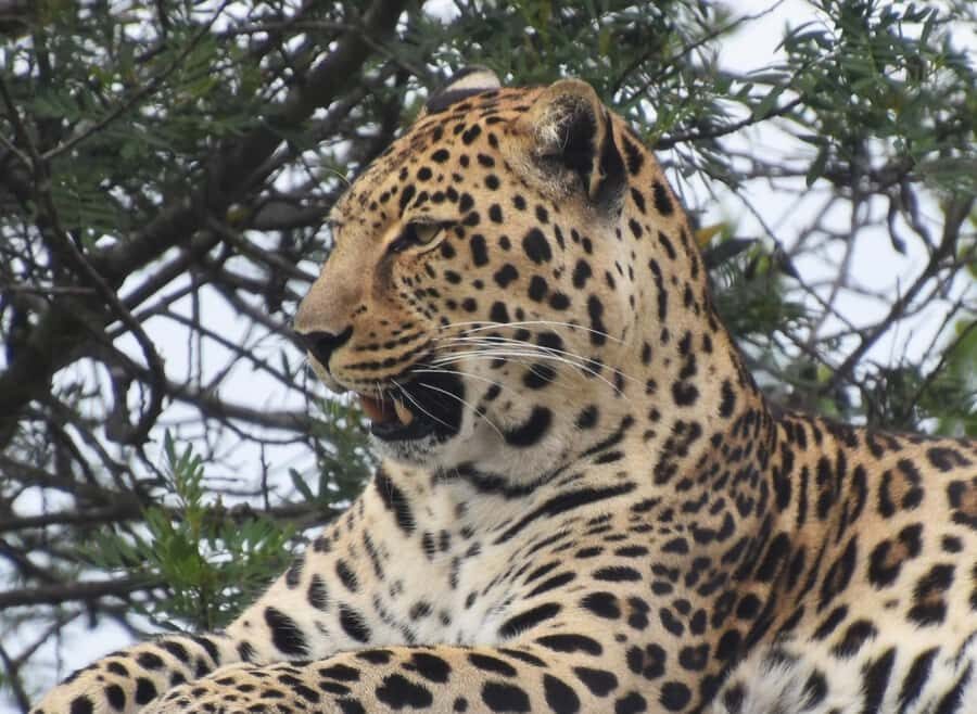 Plettenberg Bay: EcoKidz Family Wildlife Tour - The EcoKidz route, stop by stop (what each part feels like)