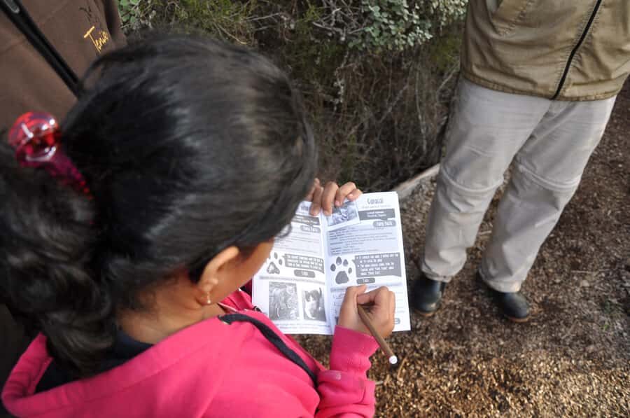 Plettenberg Bay: EcoKidz Family Wildlife Tour - EcoKidz booklet quizzes and certificates: the take-home payoff