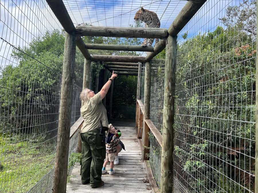 Plettenberg Bay: EcoKidz Family Wildlife Tour - All-weather planning for families (and why it matters)