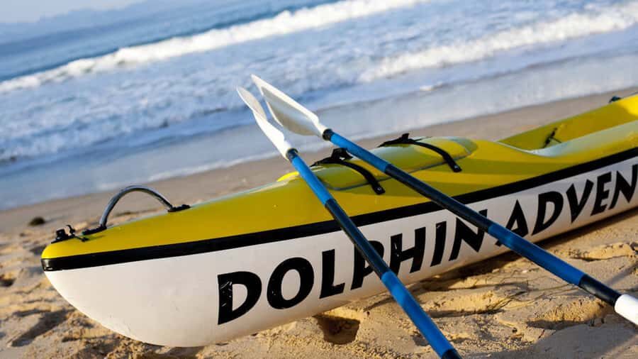 Plettenberg Bay: Guided Sea Kayak Tour - Why Plettenberg Bay Sea Kayak Puts You So Close