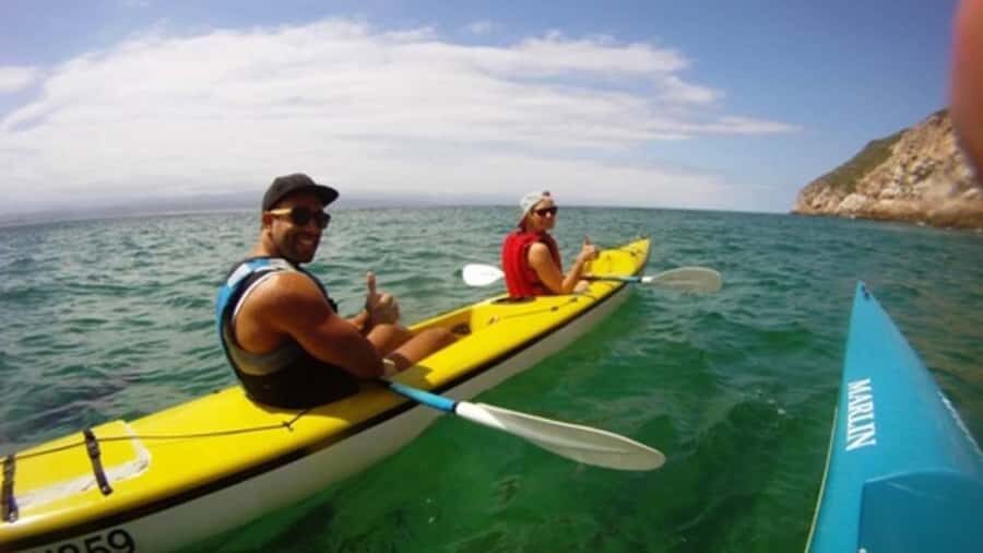Plettenberg Bay: Guided Sea Kayak Tour - Wildlife Sightings: Dolphins, Seals, Whales in Season