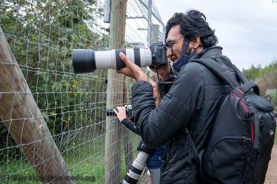 Plettenberg Bay: Private Guided Wildlife Photography Tour - Start of the tour: safety briefing, intro video, and how your guide will run the day